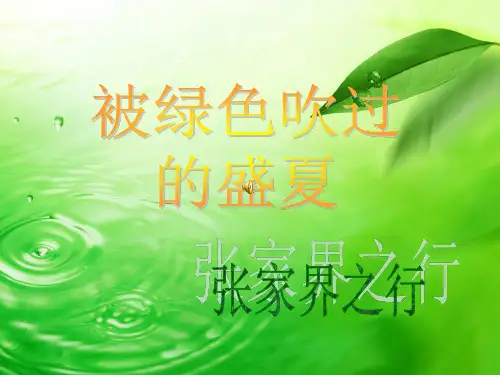 张家界PPT制作