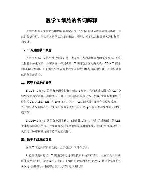 医学t细胞的名词解释