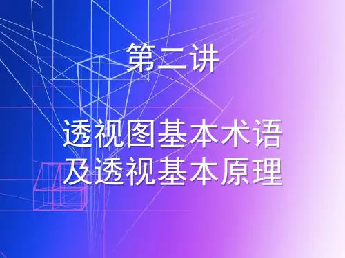 2透视术语