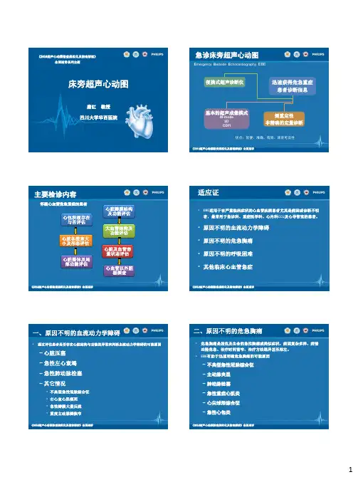 床旁超声