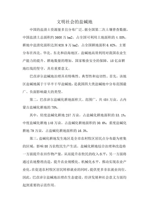 文明社会的盐碱地