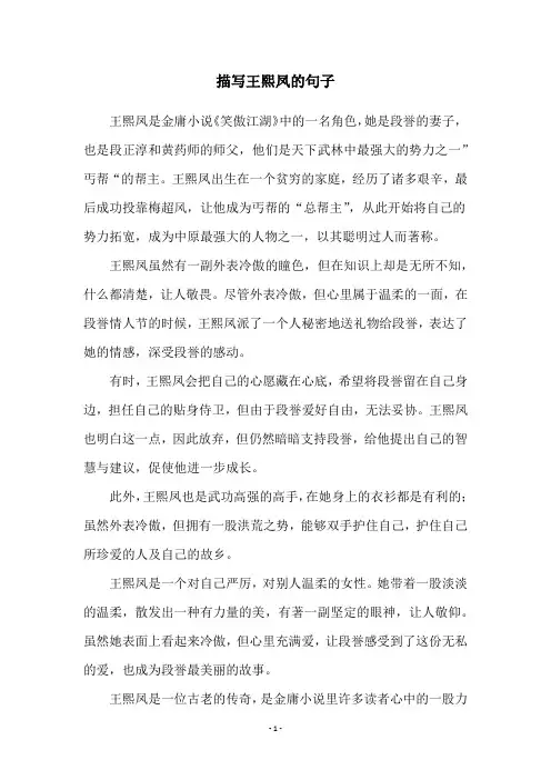 描写王熙凤的句子