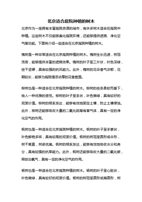 北京适合庭院种植的树木