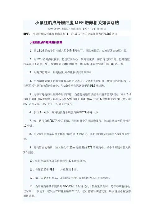 小鼠胚胎成纤维细胞MEF培养相关知识总结