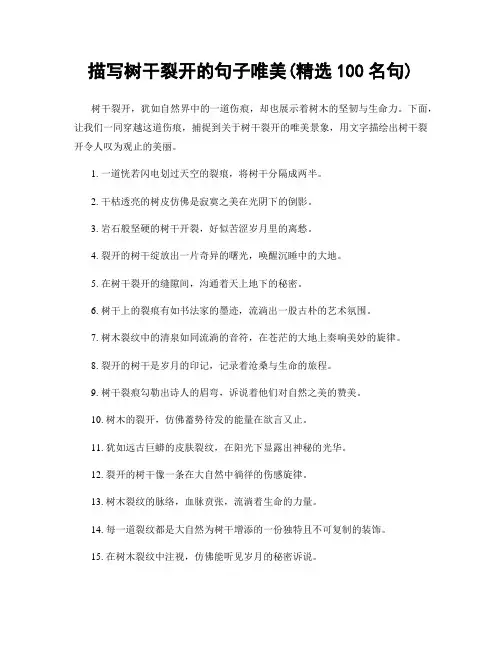 描写树干裂开的句子唯美(精选100句)