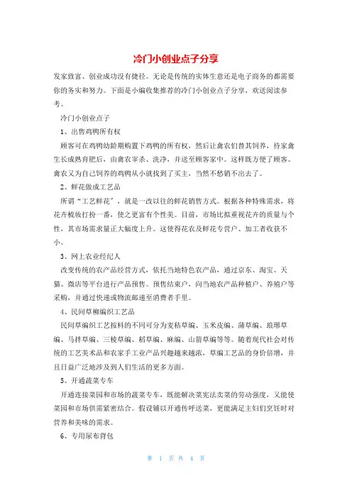 冷门小创业点子分享