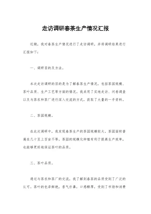 走访调研春茶生产情况汇报
