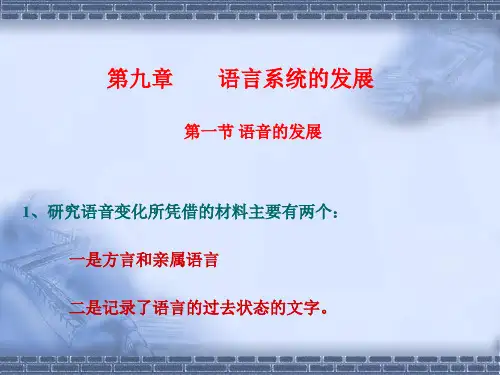 语言系统的发展.