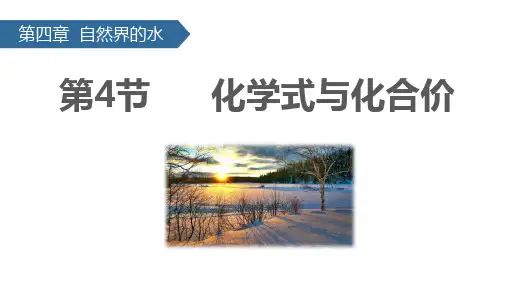 4.4 化学式和化合价 课件   人教版化学九年级上册 (共37张PPT)