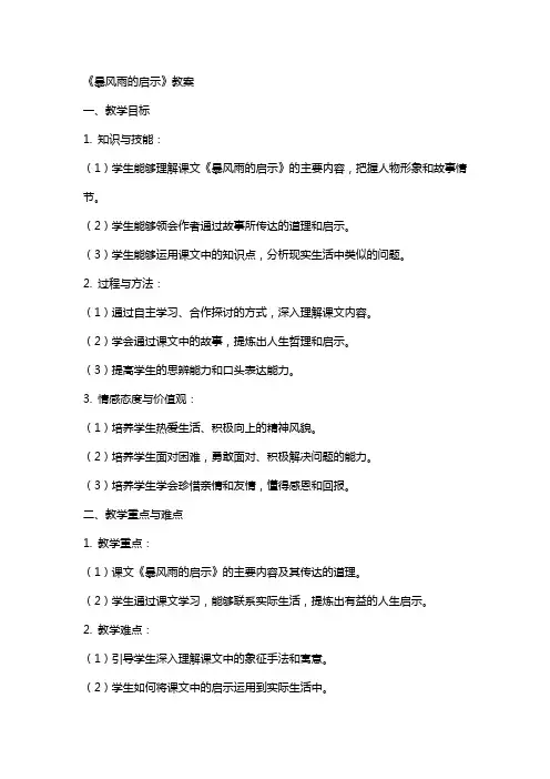 《暴风雨的启示》教案