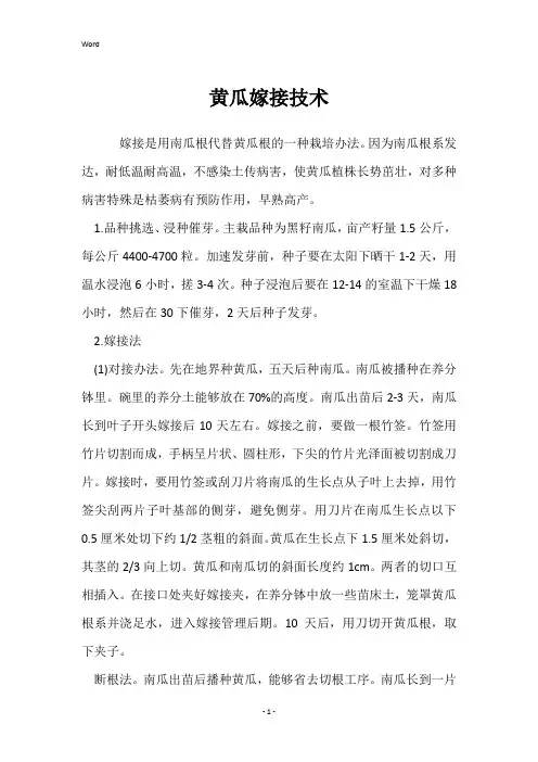 黄瓜嫁接技术