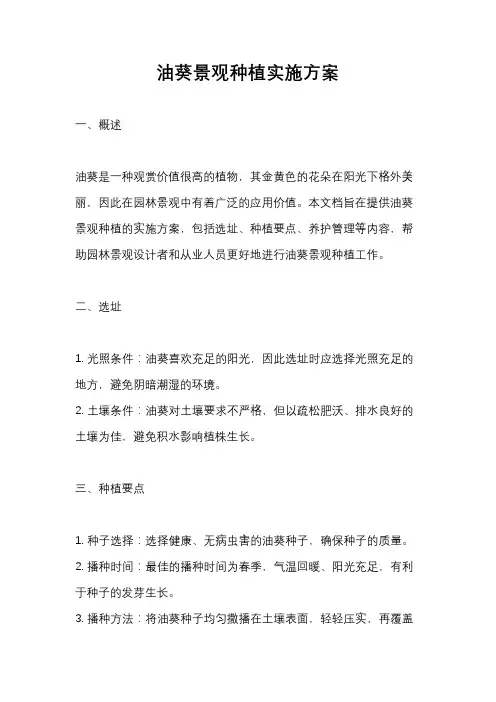 油葵景观种植实施方案