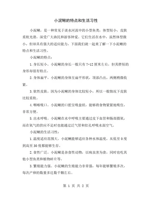 小泥鳅的特点和生活习性