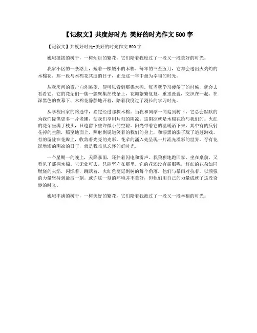 【记叙文】共度好时光 美好的时光作文500字