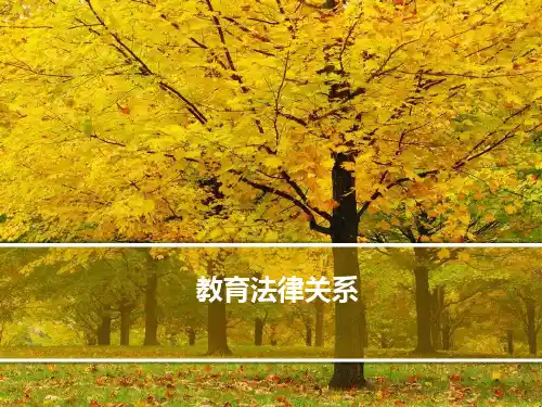 教育法律关系