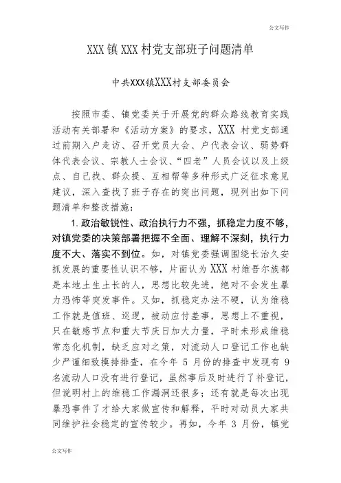 XXX镇XXX村党支部班子问题整治清单(模板).doc