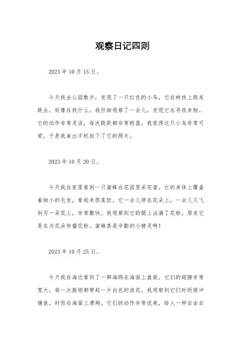 观察日记四则