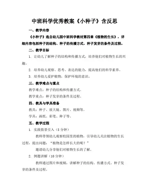 中班科学优秀教案《小种子》含反思