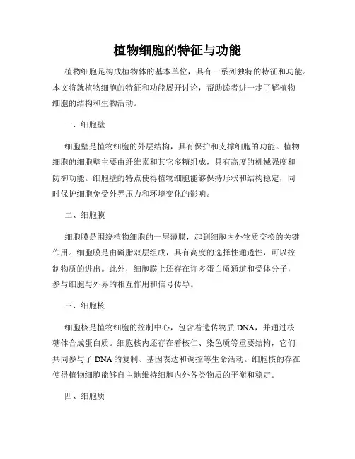 植物细胞的特征与功能