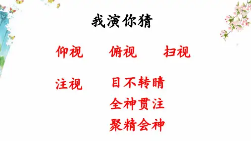 《画杨桃》ppt课件