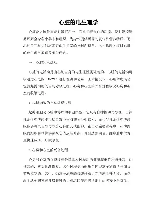 心脏的电生理学