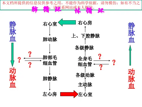 体循环和肺循环的途径培训课件