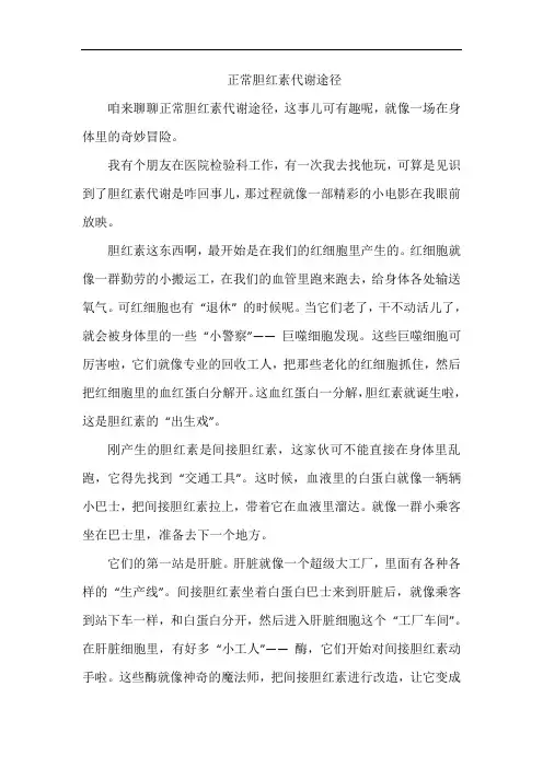 正常胆红素代谢途径