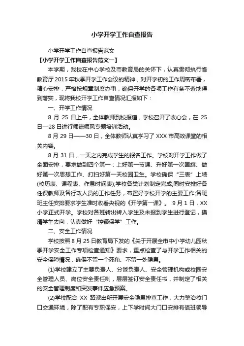 小学开学工作自查报告