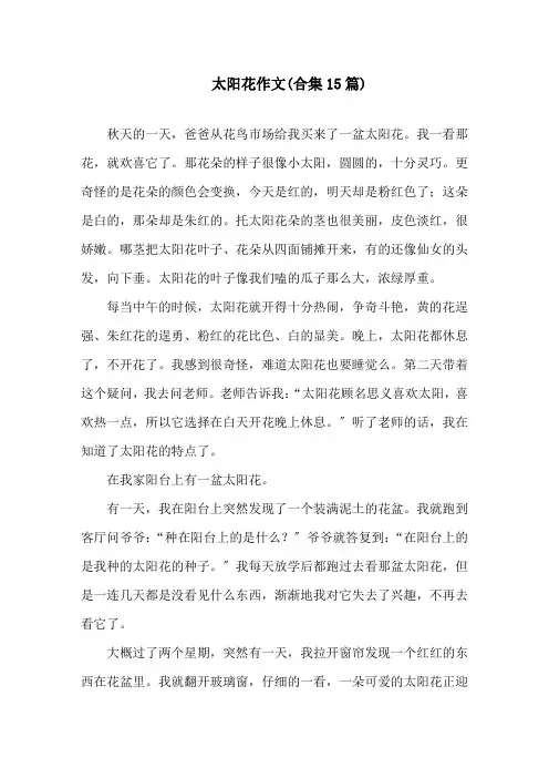 太阳花作文(合集15篇)精选