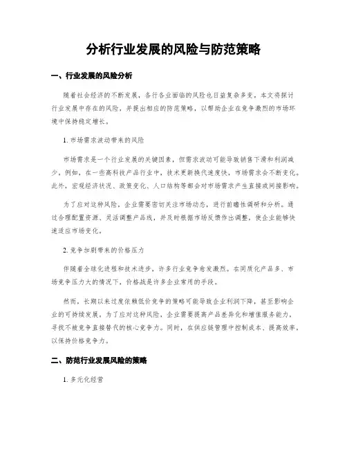 分析行业发展的风险与防范策略
