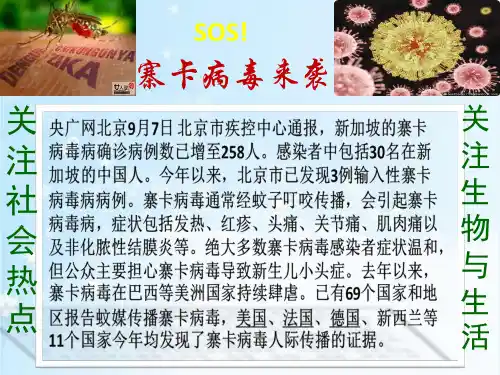 初中生物苏教版八年级上册第三节 神奇的微生物