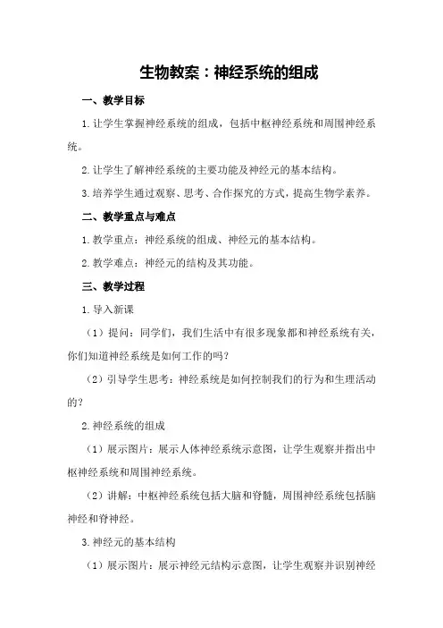 生物教案：神经系统的组成