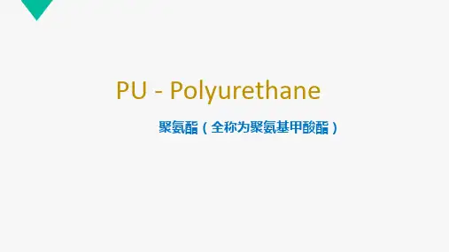 聚氨酯Polyurethane U 培训