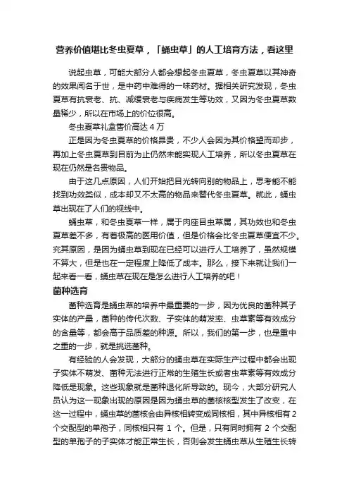 营养价值堪比冬虫夏草，「蛹虫草」的人工培育方法，看这里