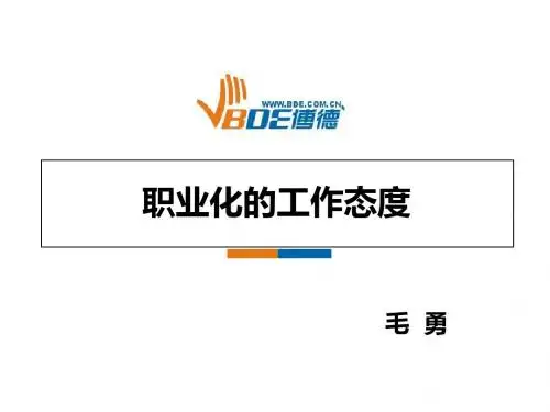 职业化的工作态度-毛勇