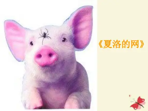 幼儿绘本故事《夏洛的网》课件