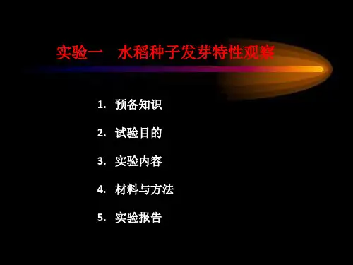 实验1 水稻种子发芽特性观察