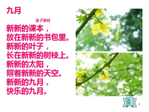金子美铃ppt课件