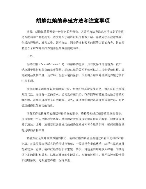 胡蜂红娘的养殖方法和注意事项