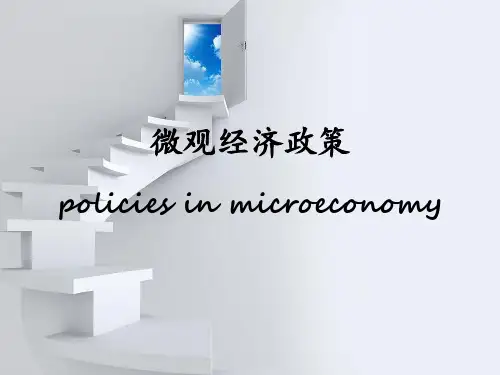 微观经济政策
