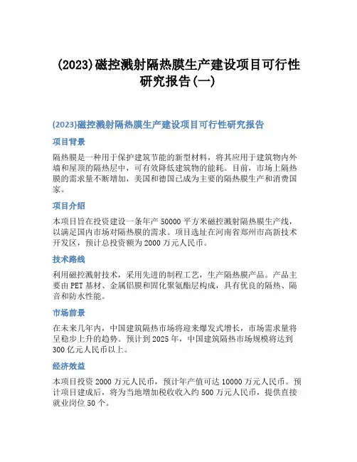 (2023)磁控溅射隔热膜生产建设项目可行性研究报告(一)