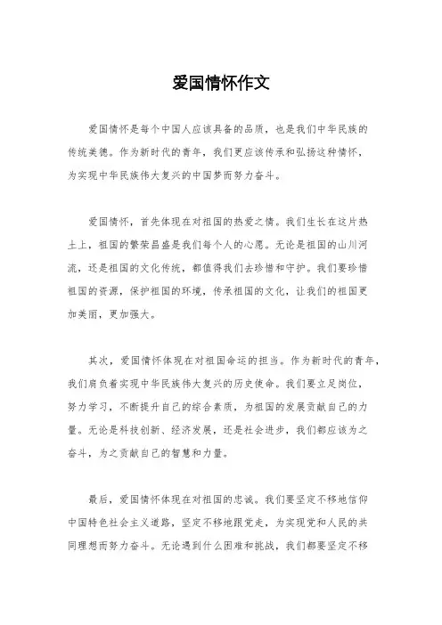 爱国情怀作文