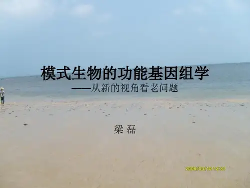模式微生物基因组学PPT课件