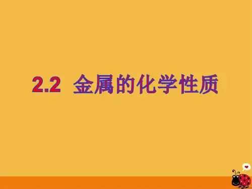 金属的化学性质(PPT课件(初中科学)34张)