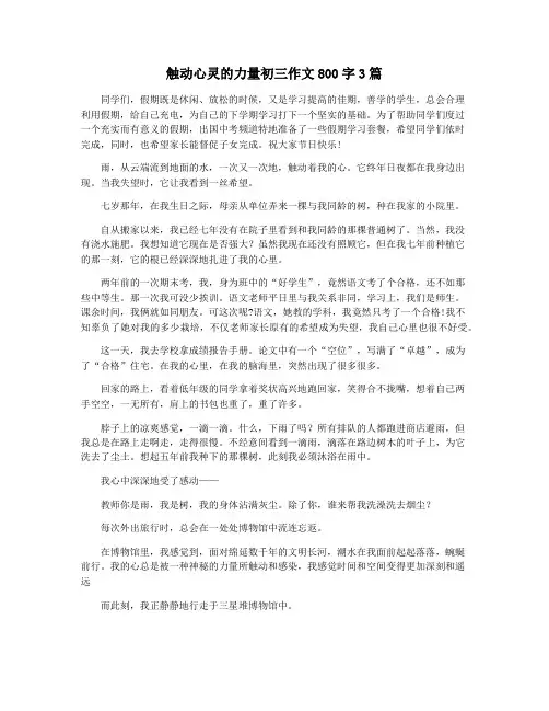 触动心灵的力量初三作文800字3篇
