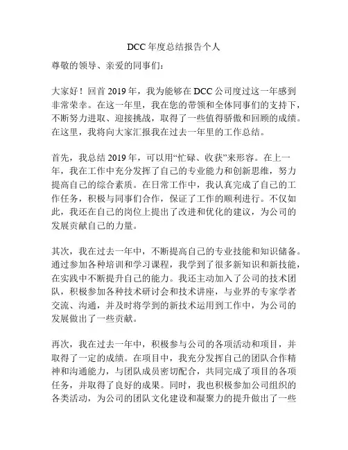 DCC年度总结报告个人