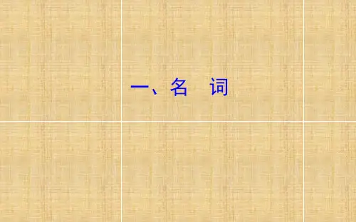 中考英语语法复习专题一名词精编版