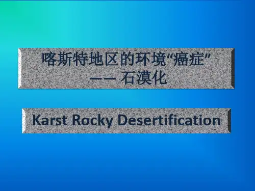 喀斯特石漠化介绍