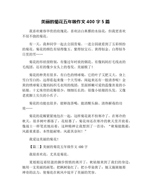 美丽的菊花五年级作文400字5篇
