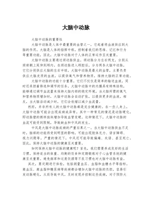 大脑中动脉